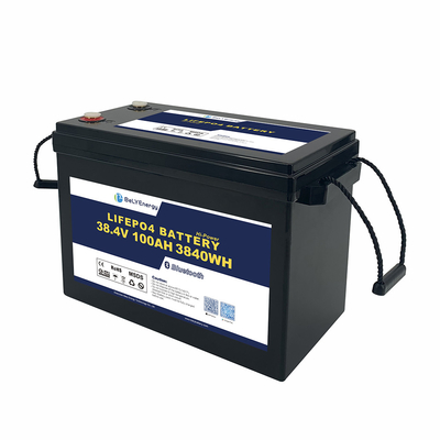 주문 Bely 가벼운 무게 Lifepo4 배터리 36v 100ah IP65 보호 online manufacture