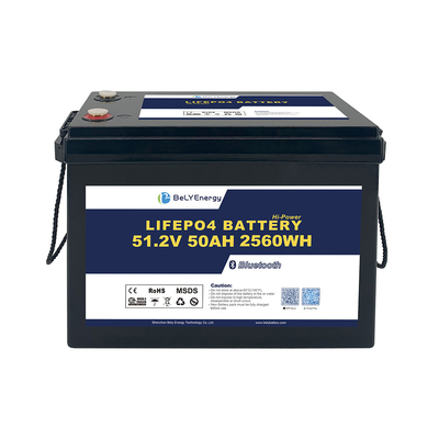 주문 벨리 에너지 안전 및 신뢰성 48v 50ah Lifepo4 배터리 팩 online manufacture