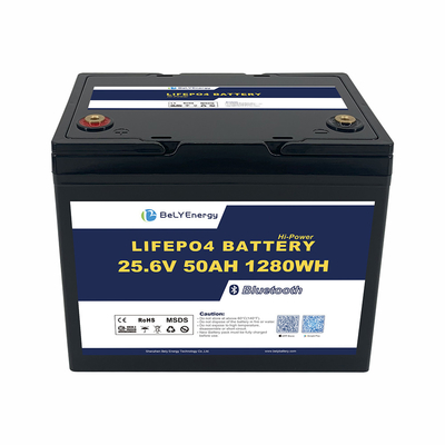 주문 OEM ODM ABS 항UV 해상 보트 배터리 24V 50AH LiFePO4 리?? 배터리 BT online manufacture