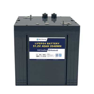주문 LiFePO4 골프 카트 배터리 48V 40AH (자가 발열 및 통신 보호 기능 포함) IP65 등급 online manufacture
