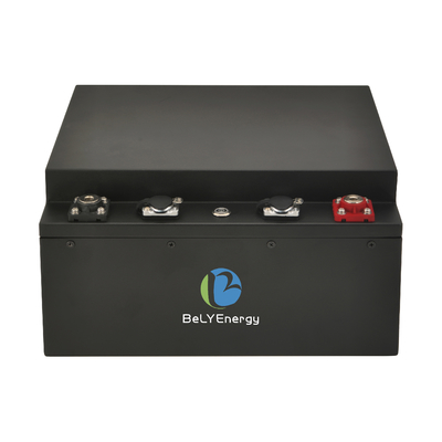 태양 에너지 저장용으로 12V LiFePo4 배터리와 금속 케이스 및 스마트 BMS